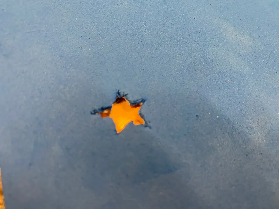 Close-up of the star cut-out in the blue foam with copper showing through